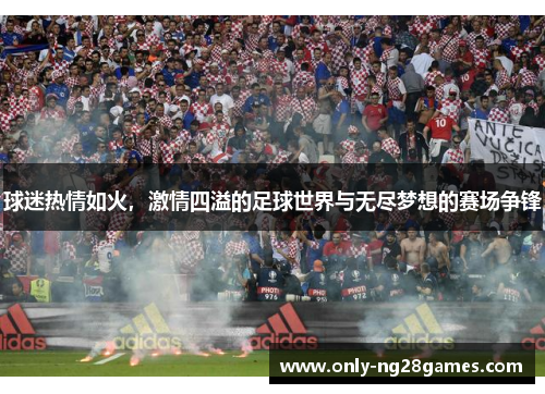 球迷热情如火，激情四溢的足球世界与无尽梦想的赛场争锋