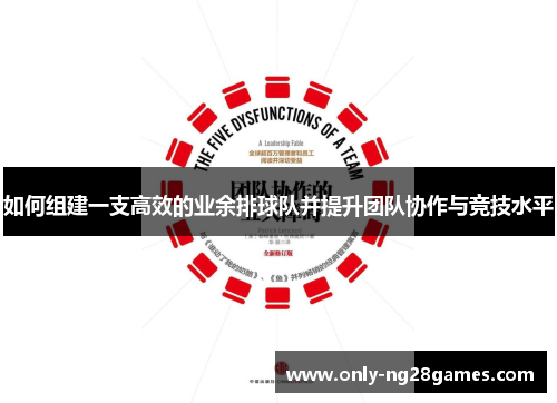 如何组建一支高效的业余排球队并提升团队协作与竞技水平