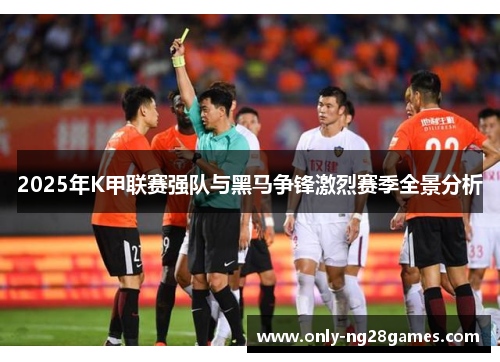 2025年K甲联赛强队与黑马争锋激烈赛季全景分析