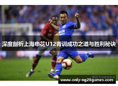 深度剖析上海申花U12青训成功之道与胜利秘诀