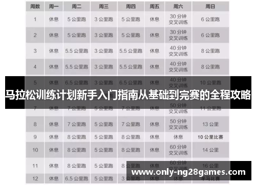 马拉松训练计划新手入门指南从基础到完赛的全程攻略
