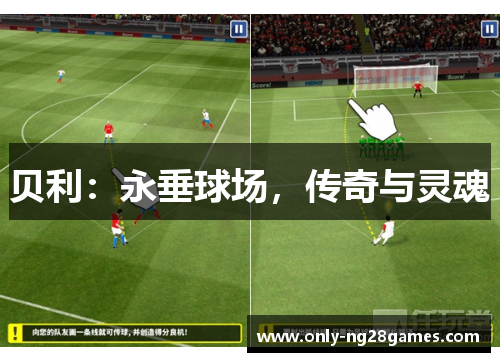贝利：永垂球场，传奇与灵魂
